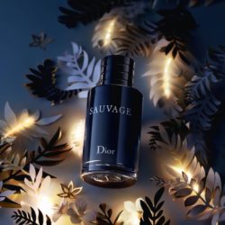 Dior Sauvage Eau de Toilette Perfume Shopping at Debenhams